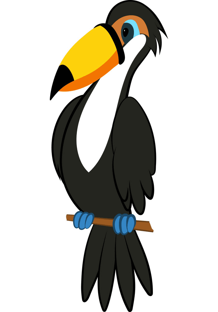 Free Download Toucan Clipart