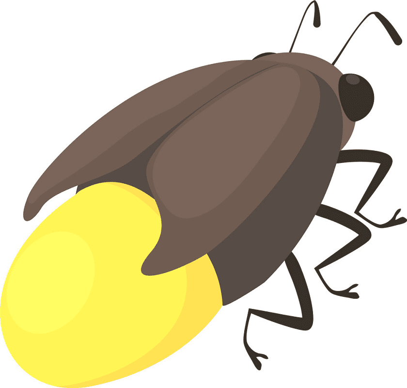 Free Firefly clipart png