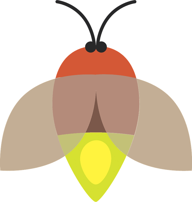Free Firefly clipart transparent