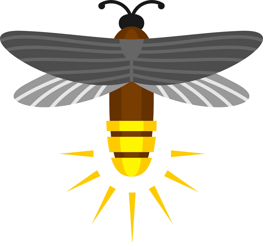 Free Firefly clipart