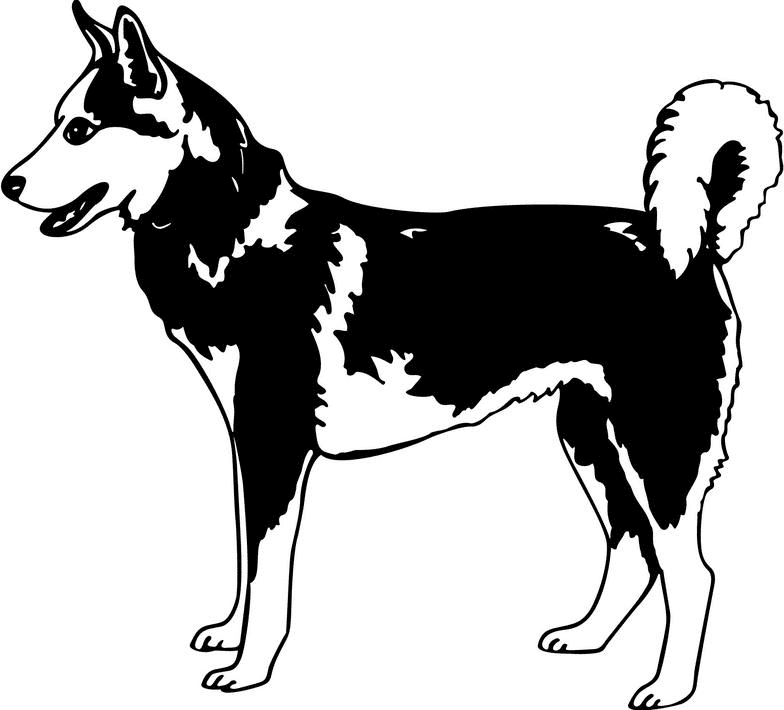 Free Husky Clipart Black and White