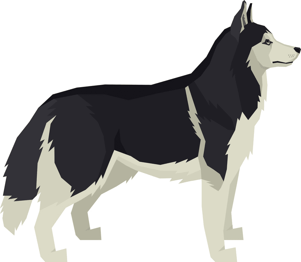 Free Husky clipart picture