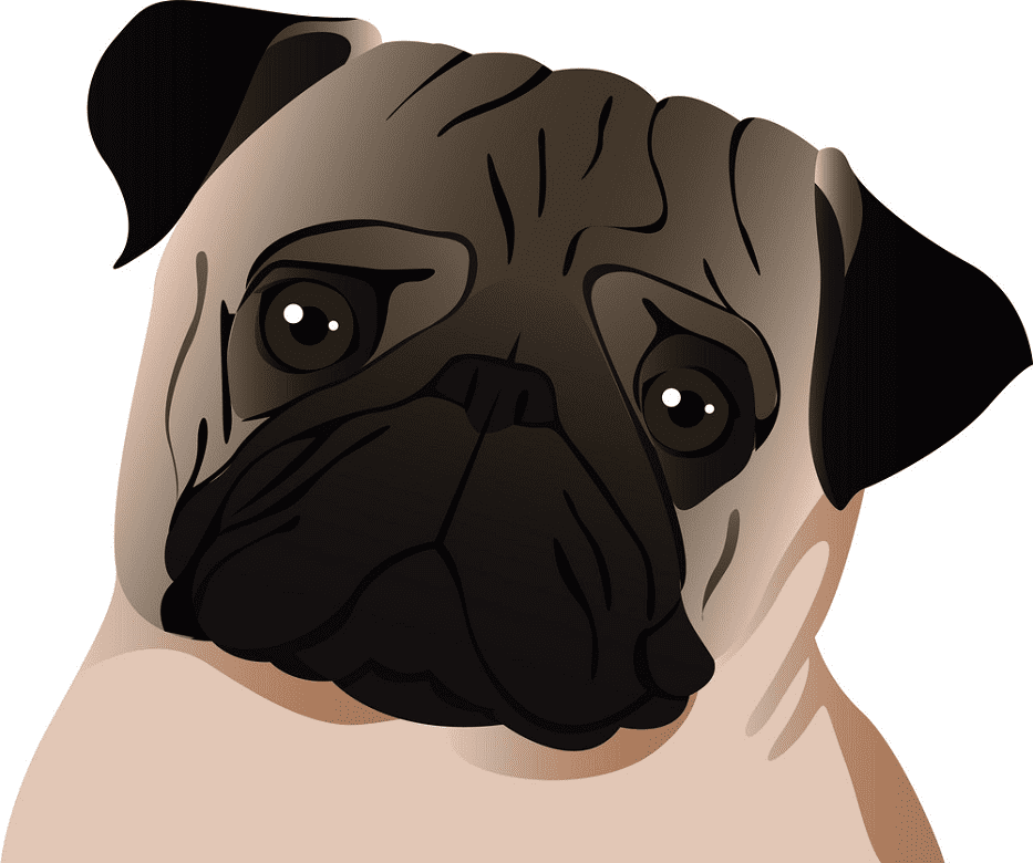Free Pug clipart images