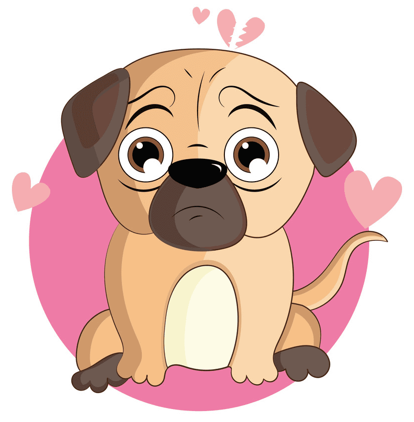 Free Pug clipart png