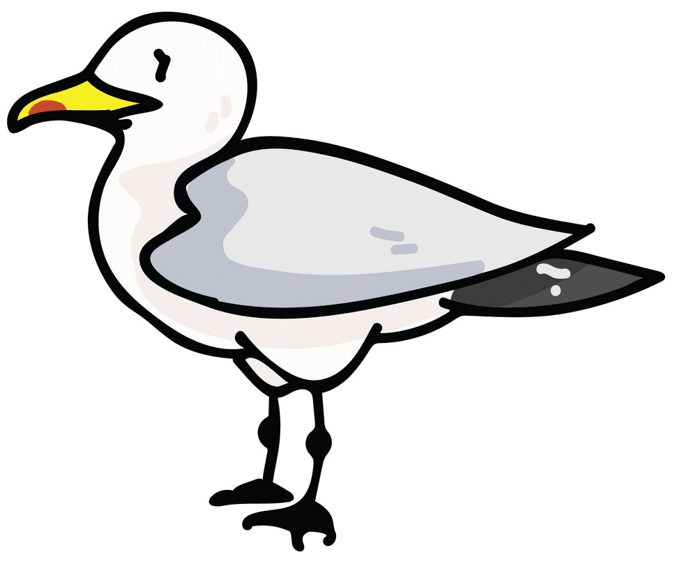 Free Seagull Clipart Image