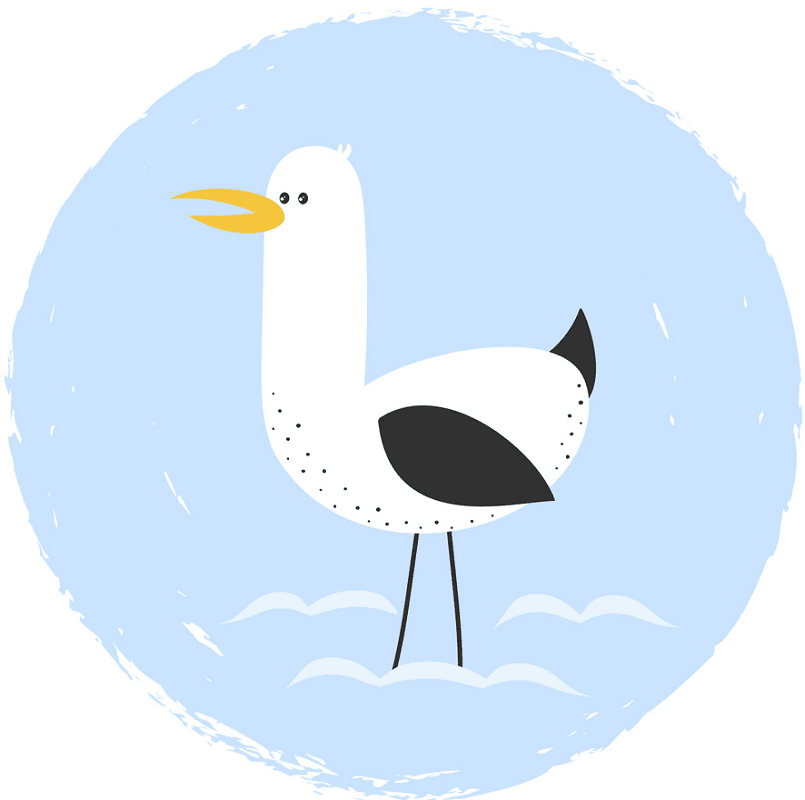 Free Seagull Clipart Images