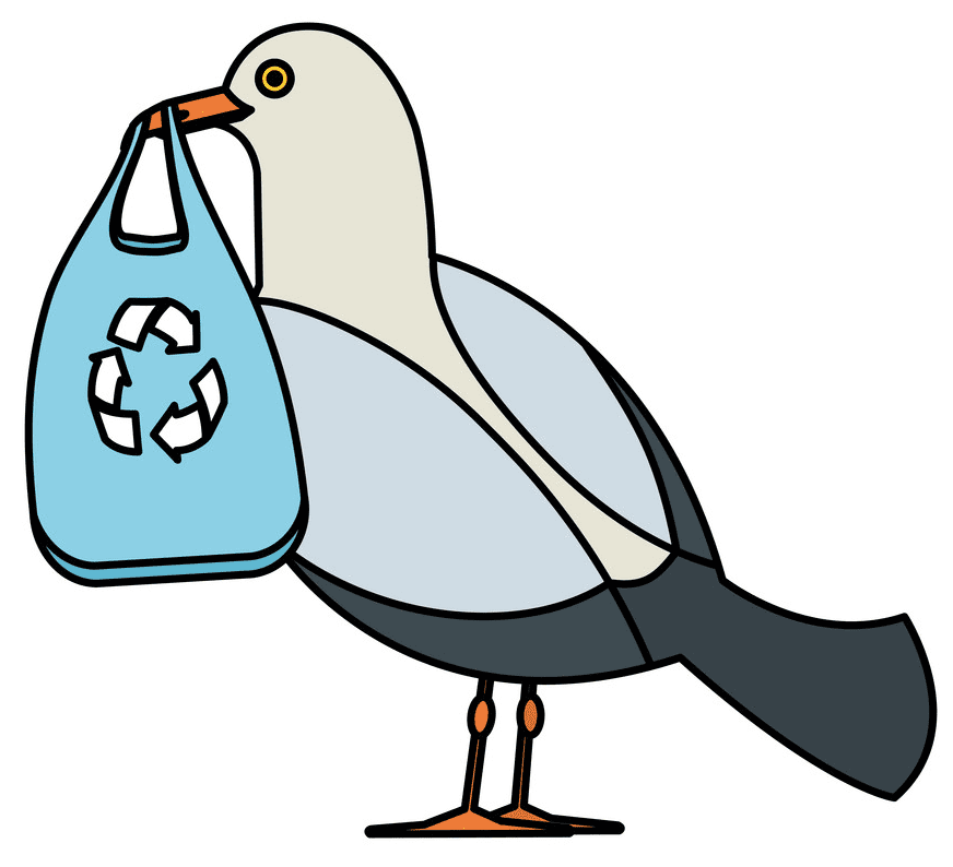 Free Seagull Clipart Picture