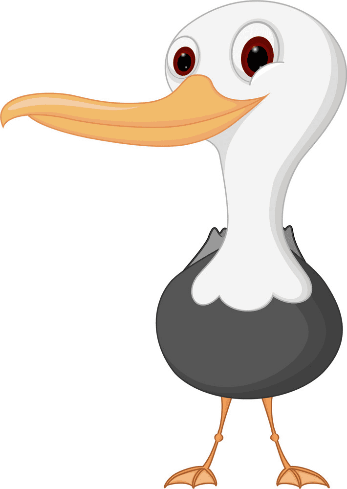 Free Seagull Clipart Png