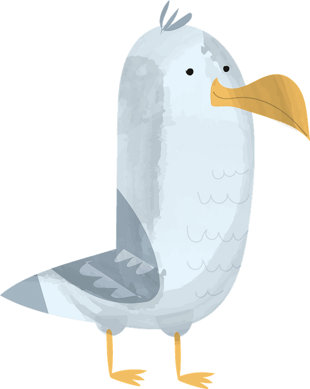 Free Seagull Clipart Transparent Background