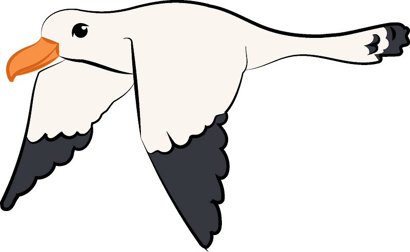 Free Seagull Clipart Transparent
