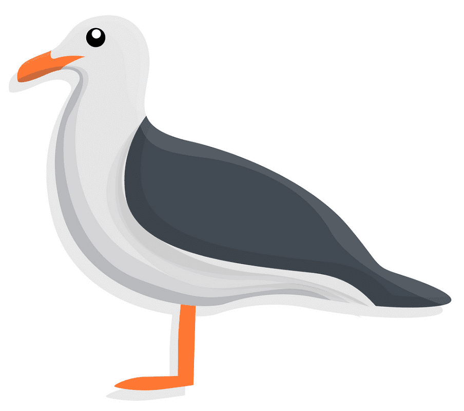 Free Seagull Clipart