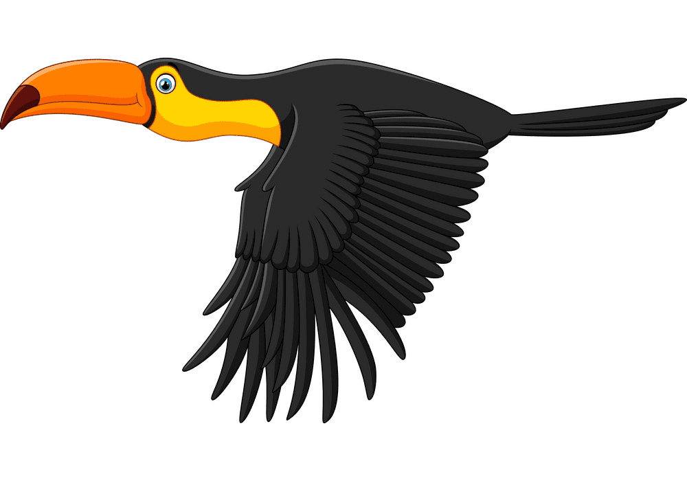 Free Toucan Clipart Picture