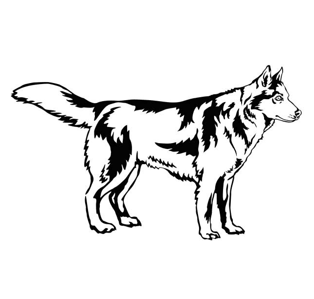 Husky Clipart Black and White 5