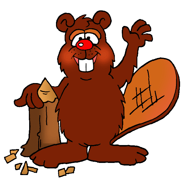 Png Clipart Beaver
