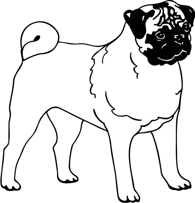 Pug Clipart Black and White 3