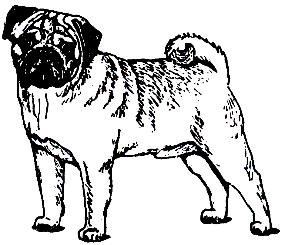 Pug Clipart Black and White 4