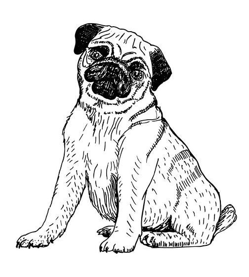 Pug Clipart Black and White 6
