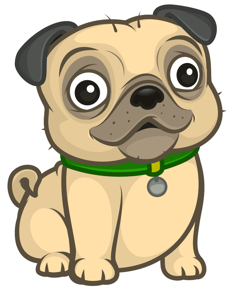 Pug clipart png images