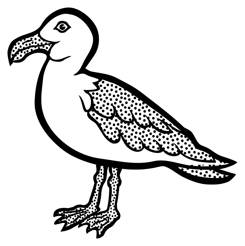 Seagull Clipart Black And White