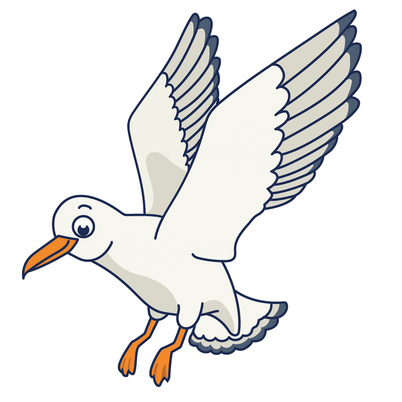 Seagull Clipart Free 1