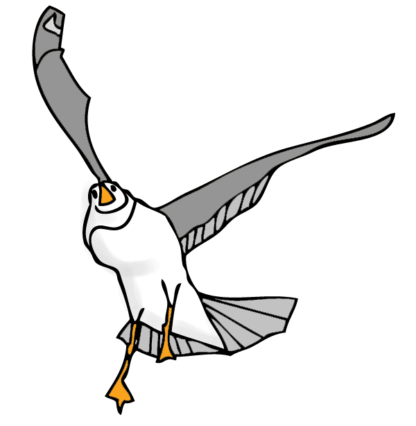 Seagull Clipart Free 10