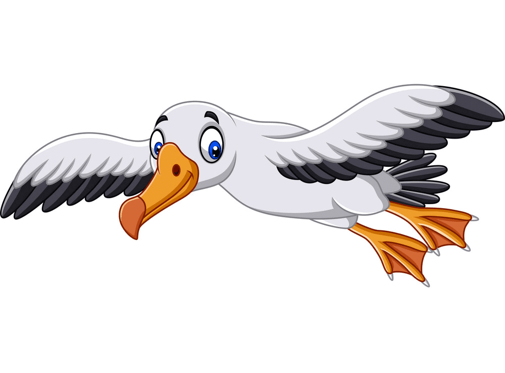 Seagull Clipart Free 3