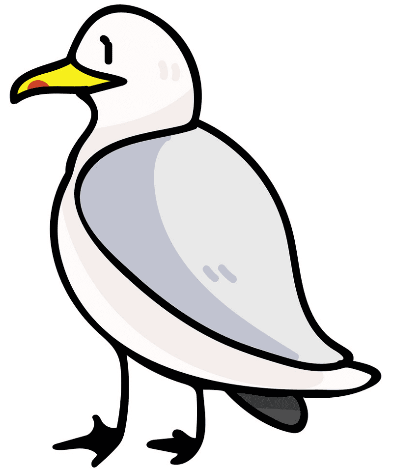 Seagull Clipart Free 5