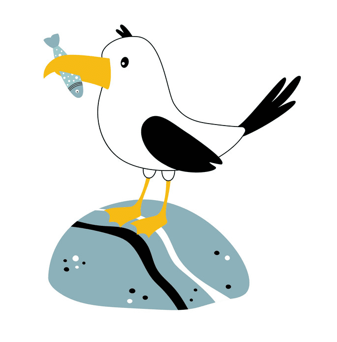 Seagull Clipart Free 9