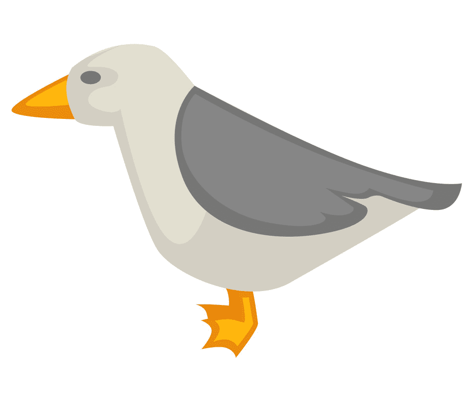 Seagull Clipart Free Download