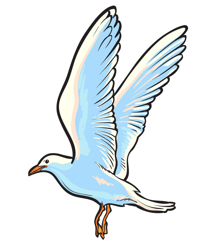 Seagull Clipart Free Image