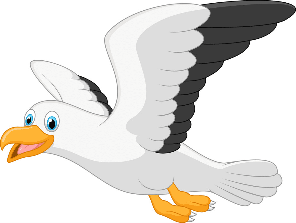 Seagull Clipart Free Images