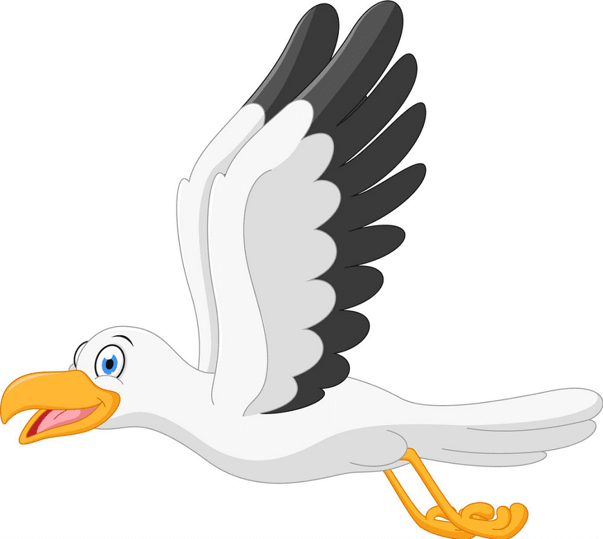 Seagull Clipart Images