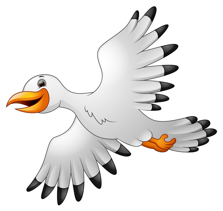 Seagull Clipart Png Image