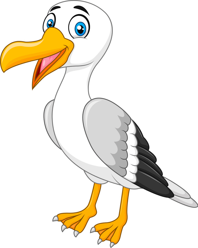 Seagull Clipart Png Images