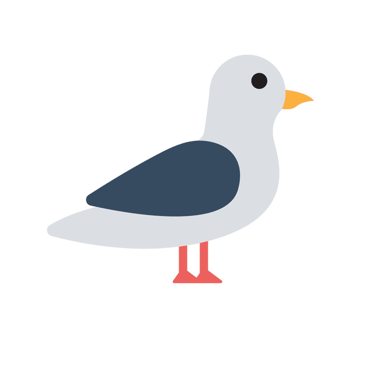 Seagull Clipart Png Picture
