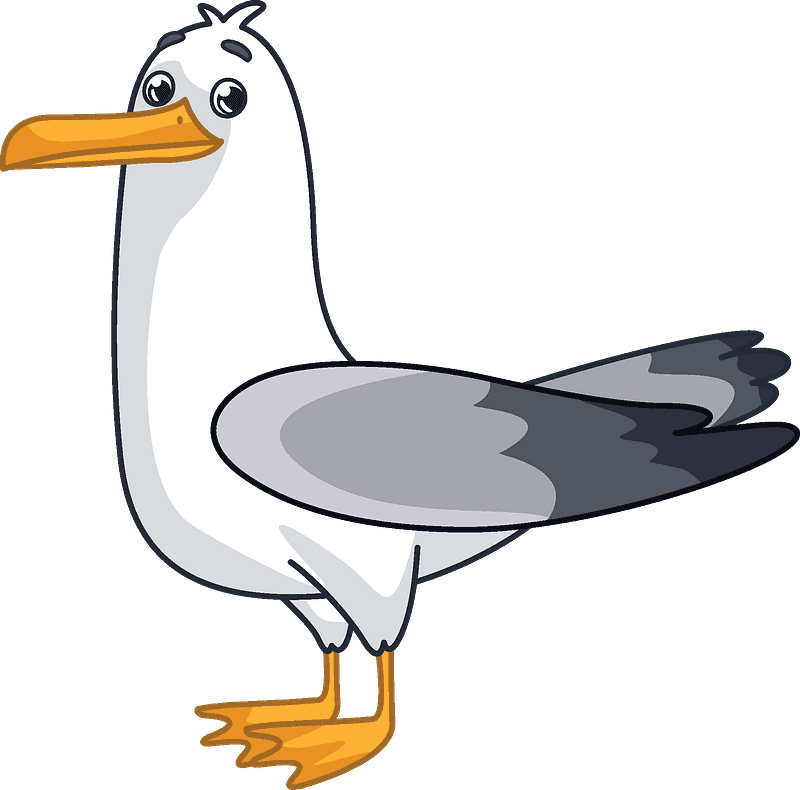 Seagull Clipart Transparent 6