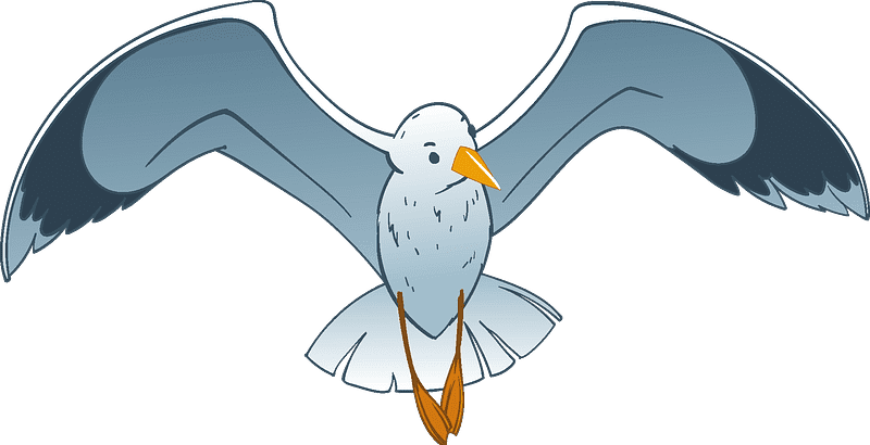 Seagull Clipart Transparent Background 1