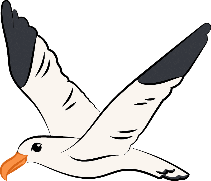 Seagull Clipart Transparent Background 10