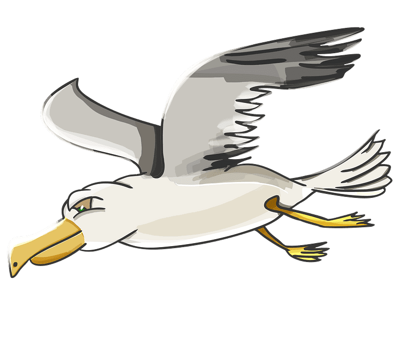 Seagull Clipart Transparent Background 6