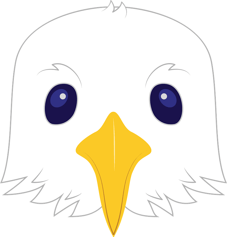 Seagull Clipart Transparent Background 9