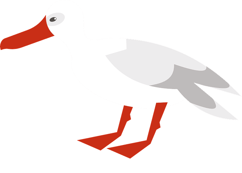 Seagull Clipart Transparent For Free