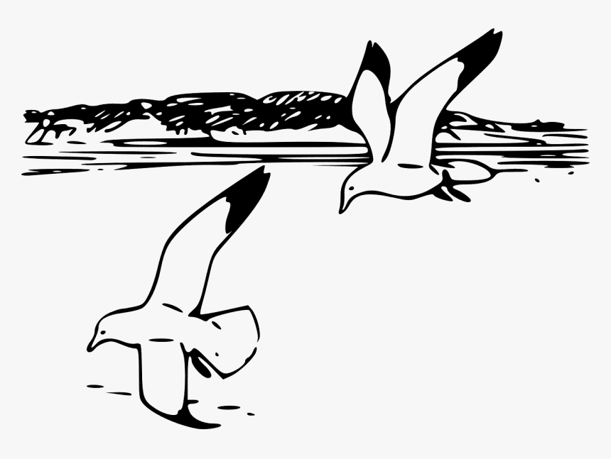 Seagulls Clipart Black And White