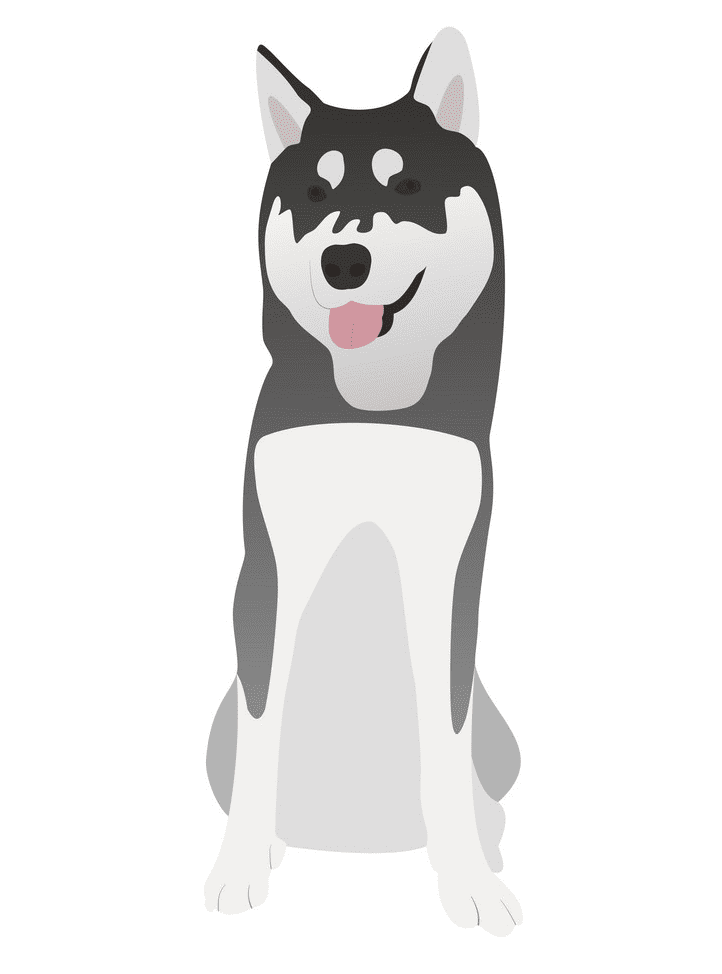 Siberian Husky clipart images