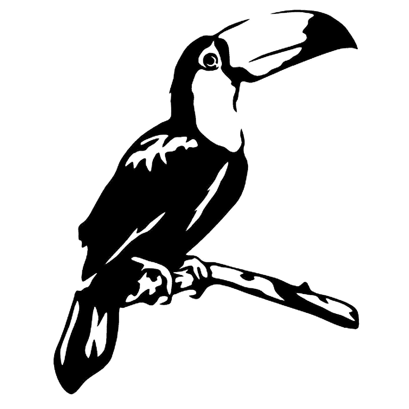 Toucan Clipart Black and White 2