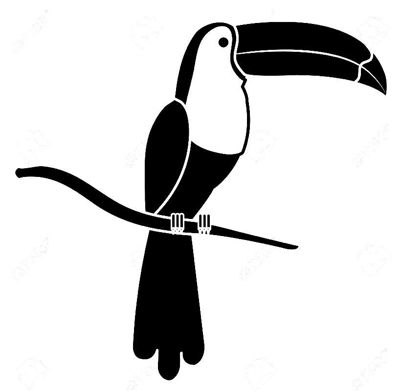 Toucan Clipart Black and White 3