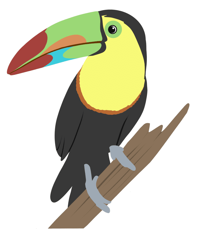 Toucan Clipart Free 4