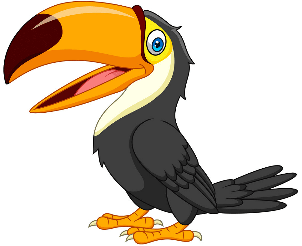 Toucan Clipart Png Download