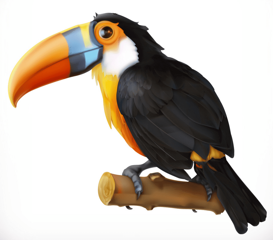 Toucan Clipart Png Free