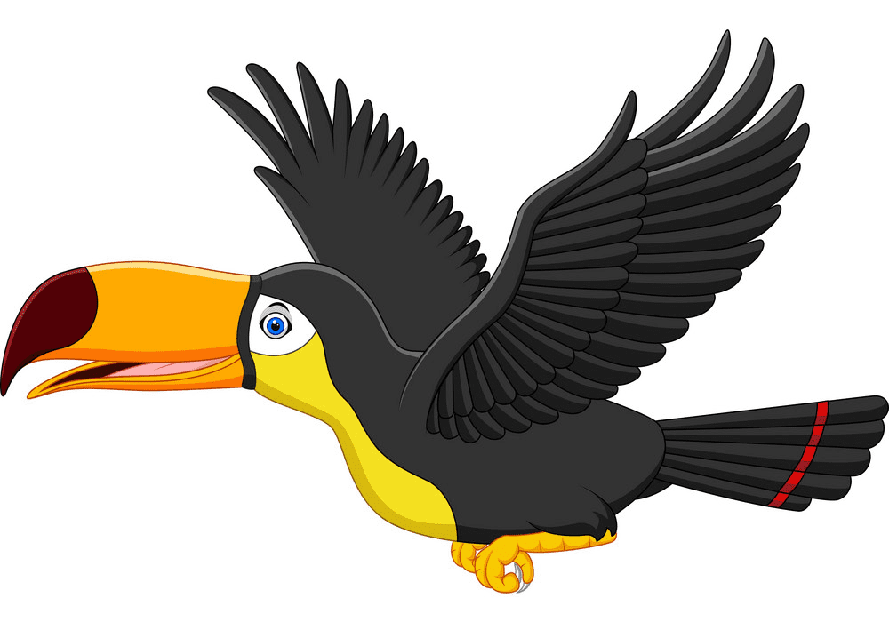 Toucan Clipart Png Images