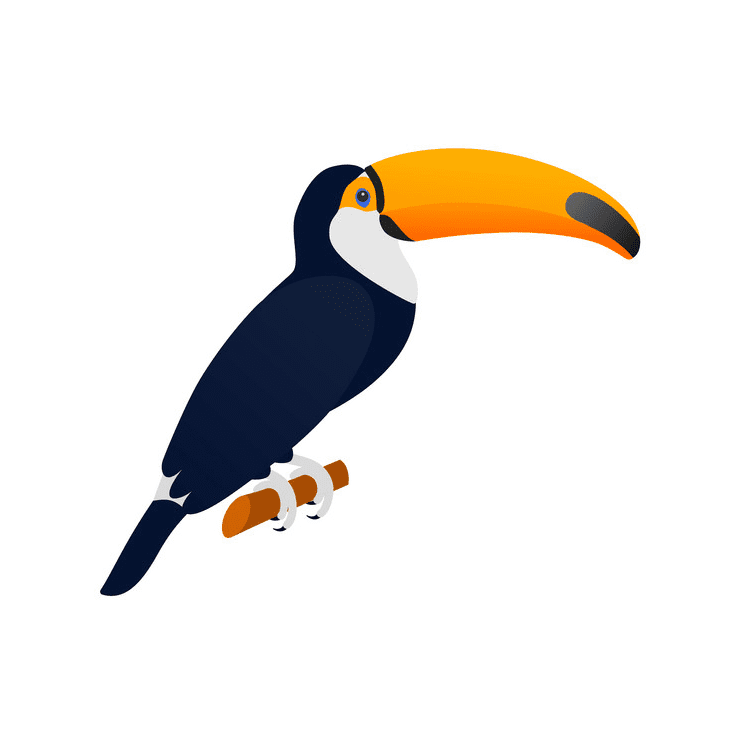 Toucan Clipart Png Picture